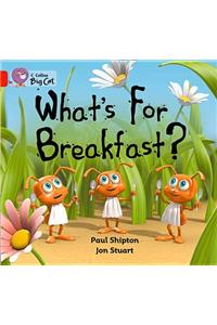 What’s for Breakfast? Workbook