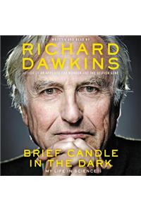 Brief Candle in the Dark