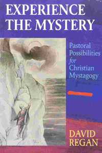 Experience the Mystery: Pastoral Possibilites for Christian Mystagogy Paperback â€“ 10 November 1994