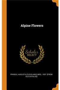 Alpine Flowers