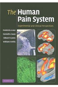 The Human Pain System