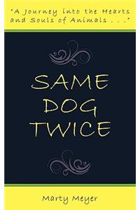Same Dog Twice