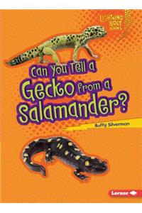 Can You Tell a Gecko from a Salamander?