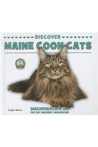 Discover Maine Coon Cats