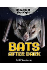 Bats After Dark