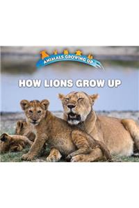 How Lions Grow Up