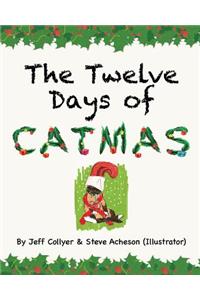 The Twelve Days of Catmas
