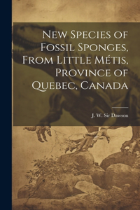 New Species of Fossil Sponges, From Little Métis, Province of Quebec, Canada