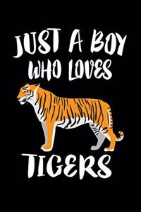 Just A Boy Who Loves Tigers