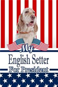 My English Setter for President