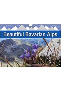 Beautiful Bavarian Alps 2018