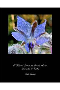 jardin de Cathy