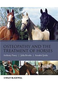 Osteopathy Treatment Horses