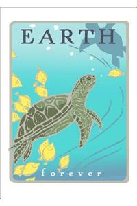 Green Sea Turtles: Earth Forever (Boxed)