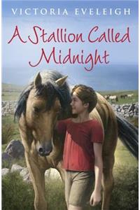 A Stallion Called Midnight