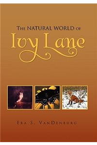 The Natural World of Ivy Lane