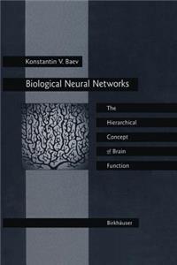 Biological Neural Networks: Hierarchical Concept of Brain Function