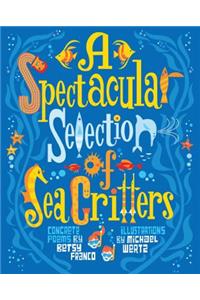 A Spectacular Selection of Sea Critters
