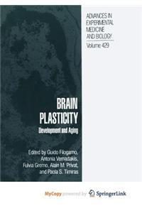 Brain Plasticity