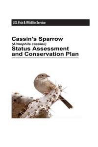 Cassin's Sparrow (Aimophila Cassinii) Status Assessment and Conservation Plan