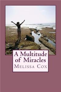 Multitude of Miracles