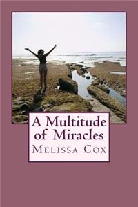 A Multitude of Miracles