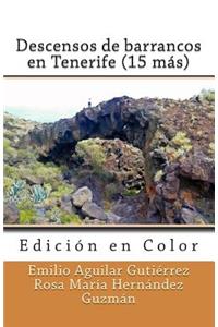 Descensos de barrancos en Tenerife (15 más) (Edición en Color)