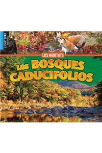 Bosques Caducifolios