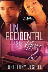 An Accidental Love Affair 2