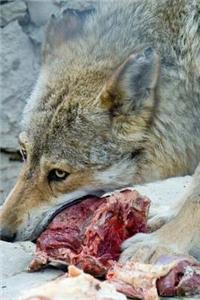 MindBlowing Wolf Journal 13