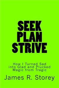 Seek, Plan, Strive