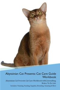 Abyssinian Cat Presents