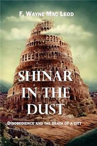 Shinar in the Dust: Disobedience and the Death of a City