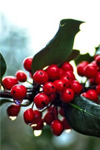 Red Holly Berry Journal