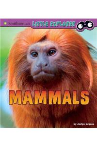 Mammals