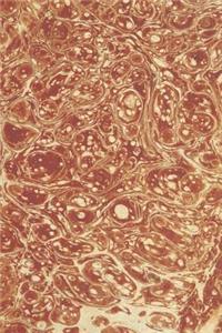 Journal Abstract Design Marbleized Old Fashioned