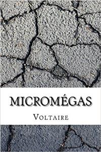 Micromégas