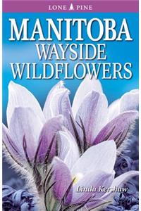 Manitoba Wayside Wildflowers