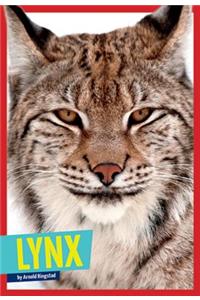 Lynx