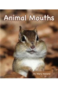 Animal Mouths