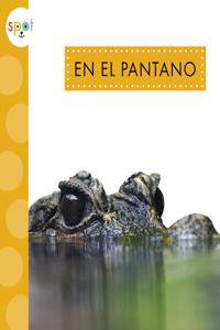 El Pantano