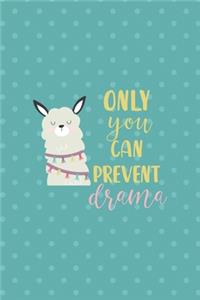 Only You Can Prevent Drama