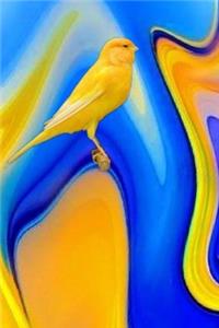 Canary Notes