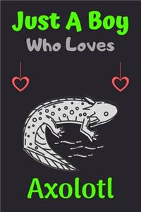 Just A Boy Who Loves Axolotl