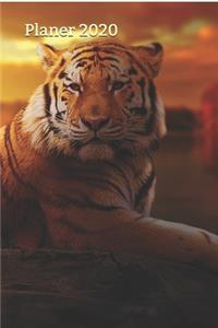Planer 2020