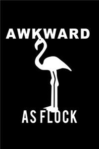 Awkward As Flock
