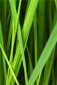 Grass Notebook