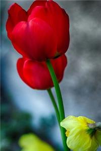 Tulips Notebook