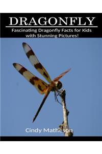 Dragonfly: Fascinating Dragonfly Facts for Kids with Stunning Pictures!