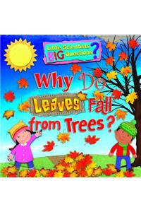 Why Do Leaves Fall from Trees?